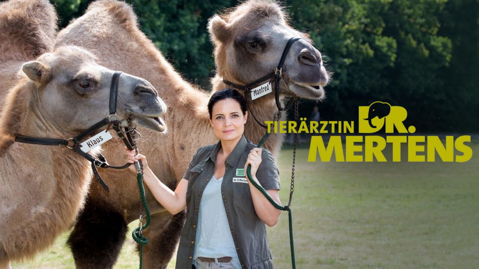 Logo: Tierärztin Dr. Mertens (Quelle: Foto: ARD/Steffen Junghans)