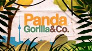 Logo der Sendung Panda, Gorilla und Co., Quelle: rbb/Dokfilm