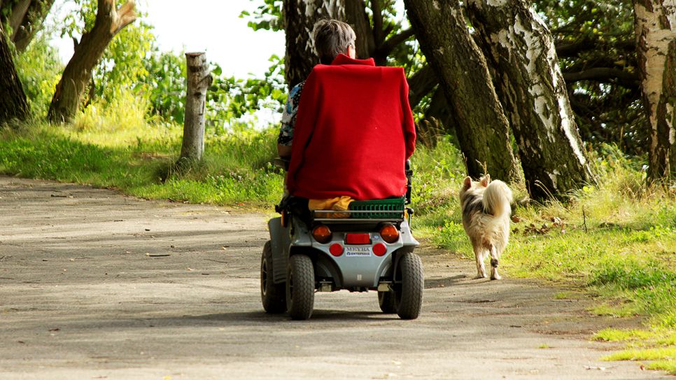 Blick auf eine Person im Rollstuhl neben der ein Hund läuft (Quelle: dpa/Rech)