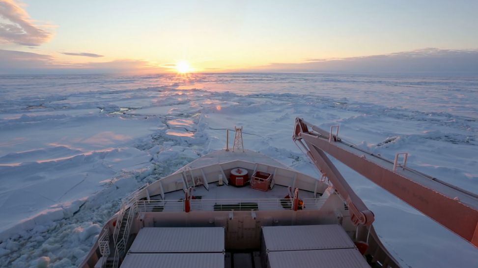 Der Forschungseisbrecher "Polarstern" bricht im September zur bisher größten Arktis-Expedition auf.
