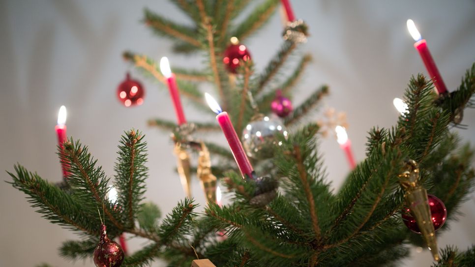 Symbolbild - Kerzen brennen an einem Weihnachtsbaum. (Bild: dpa/Florian Schuh)