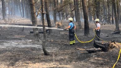 Feuerwehrmänner löschend en Waldbrand bei Gransee am 25.07.2022. (Quelle: rbb/Carsten Krippahl)