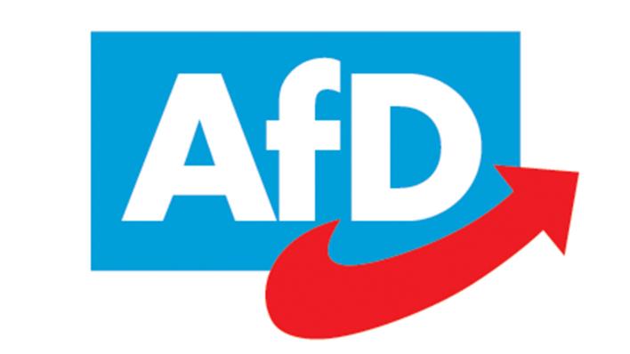 AfD: Gründung, Mitglieder, Fakten – Alle Infos im Steckbrief