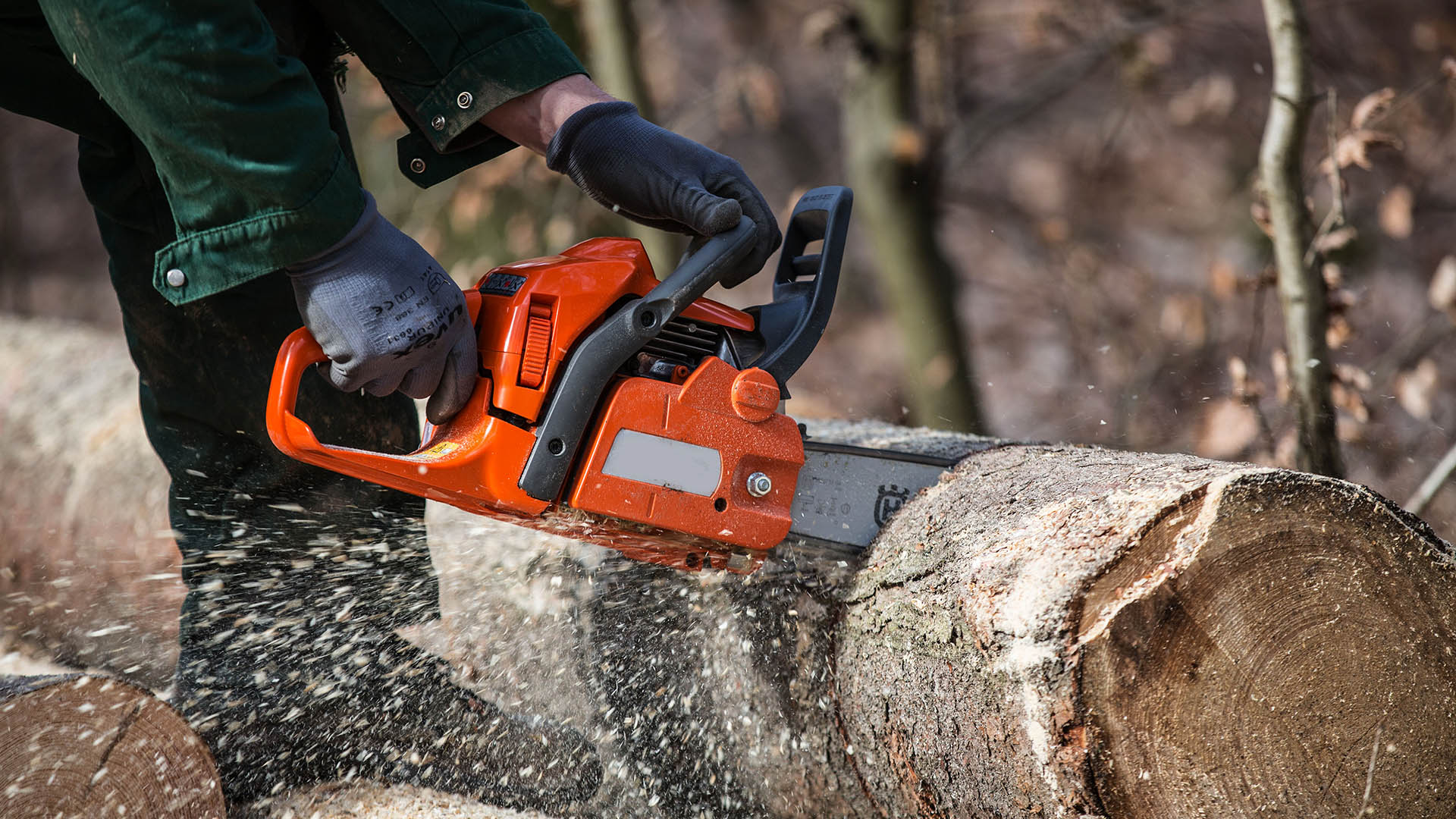 Symbolbild: Ein Holzfäller mit Kettensäge beim Schneiden eines Baumstamms.(Quelle:dpa/Fotostand/K.Schmitt)