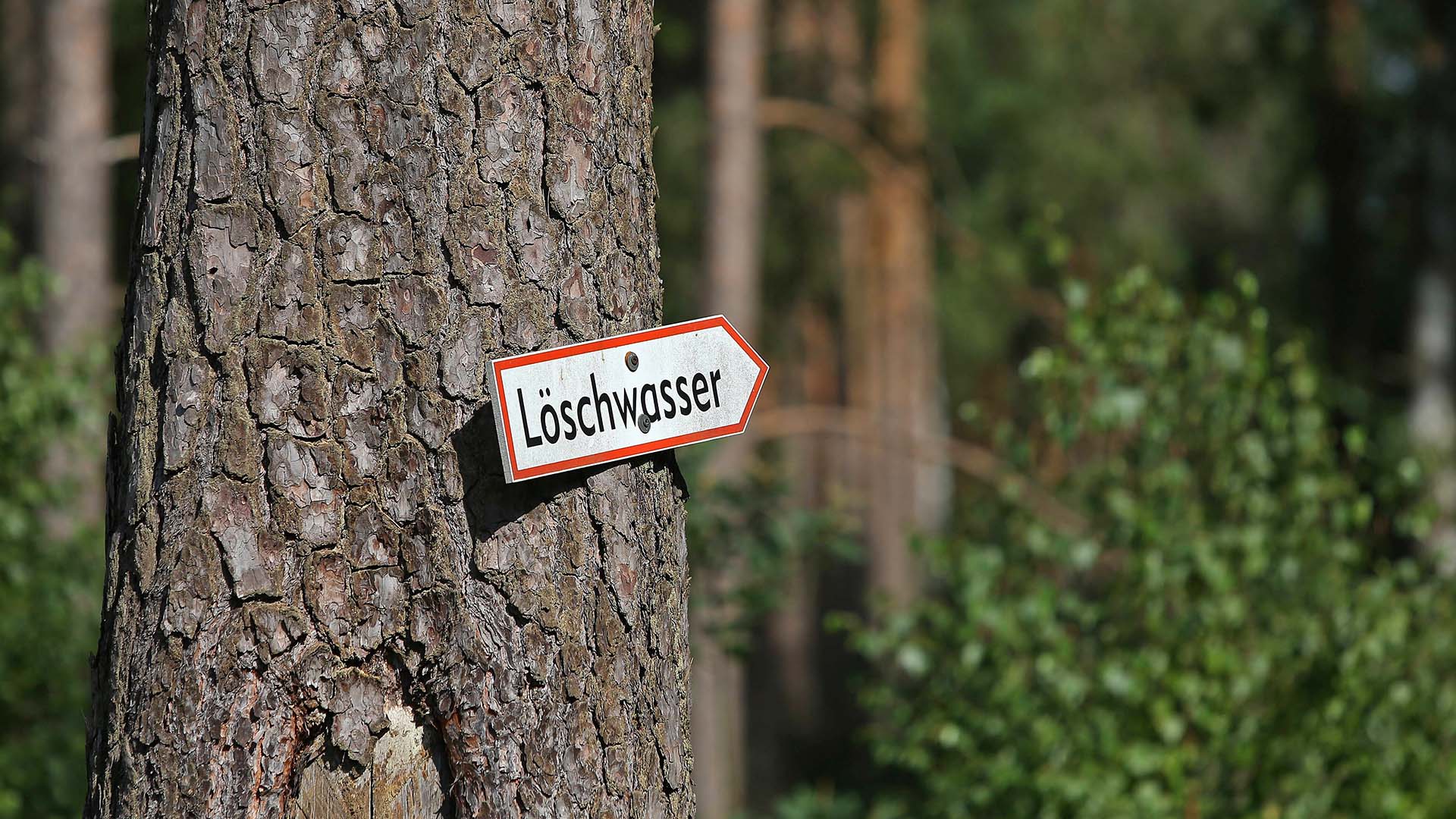 Symbolbild:Ein Pfeilschild mit der Aufschrift "Löschwasser" ist ian einem Baum genagelt.(Quelle:imago images/A.Gora)