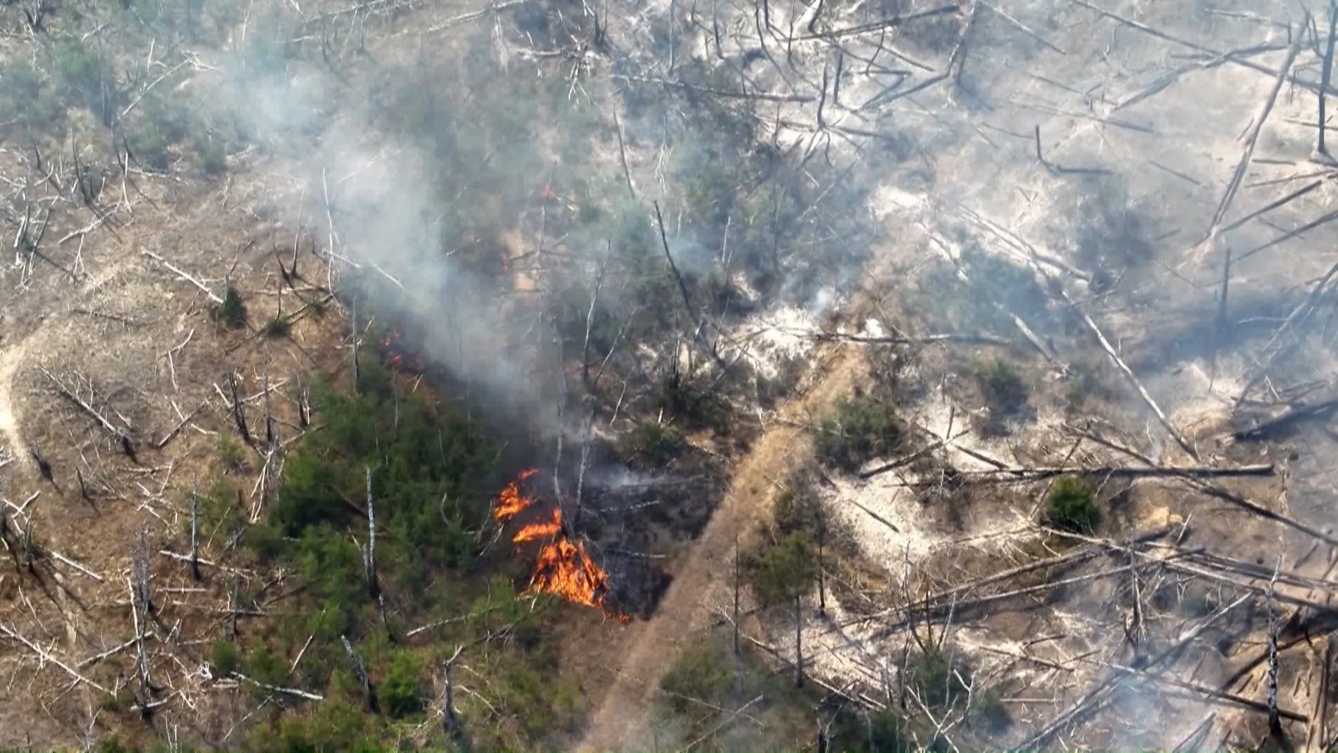 Eine Aufnahme einer Drohne zeigt einen Waldbrand in einem munitionsbelasteten Gebiet bei Jüterbog (Teltow-Fläming) (Quelle: Landkreis Teltow-Fläming)