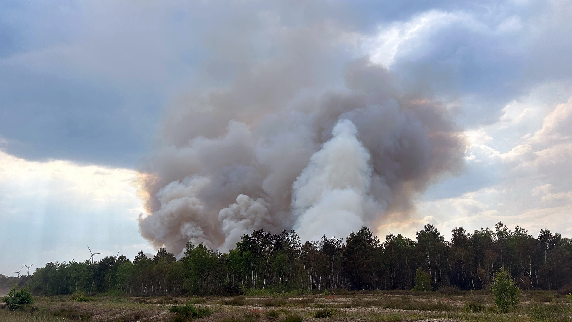 Rauch steigt aus einem Waldstück nahe Jüterbog in die Höhe (Quelle: dpa/TNN/Sven Kaeuler)