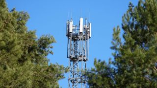 Ein Mast mit Mobilfunk-Antennen steht zwischen Kiefern am Rand eines Ortes. (Quelle: dpa/Soeren Stache)