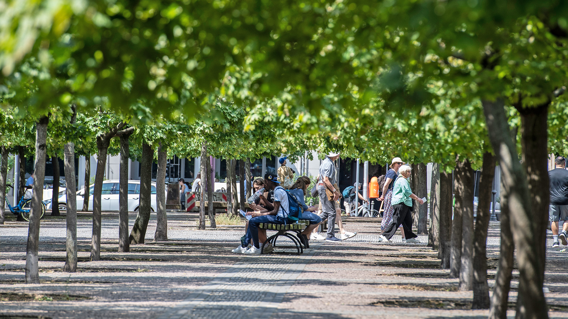 Passanten genießen am 08.06.2023 das schöne Wetter unter Bäumen am Gendarmenmarkt. (Quelle: dpa/Paul Zinken)