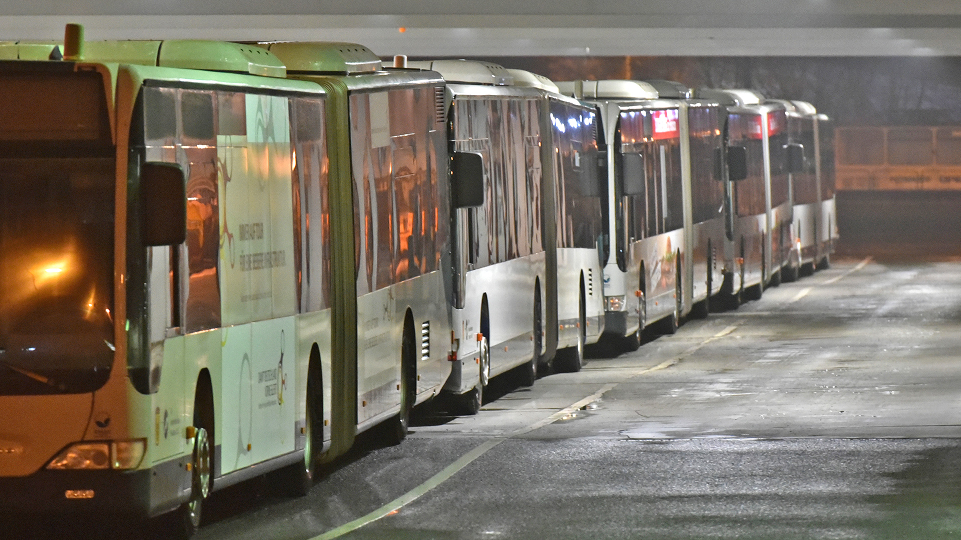Busse der Potsdamer Verkehrsbetriebe stehen am 24.02.2015 im Busbetriebshof in Potsdam (Quelle: dpa-Zentralbild/Ralf Hirschberger)