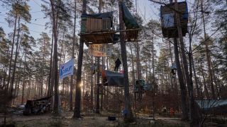 Archivbild: Baumhäuser hängen am frühen Morgen in einem Camp der Initiative «Tesla stoppen» in einem Kiefernwald nahe der Tesla-Gigafactory Berlin-Brandenburg. (Quelle: dpa/Carstensen)