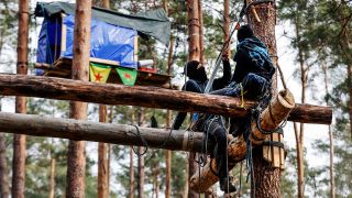 Archivbild:Klimaaktivisten bauen weitere Baumhäuser im Wald von Grünheide am 04.03.2024.(Quelle:picture alliance/J.Eckel)