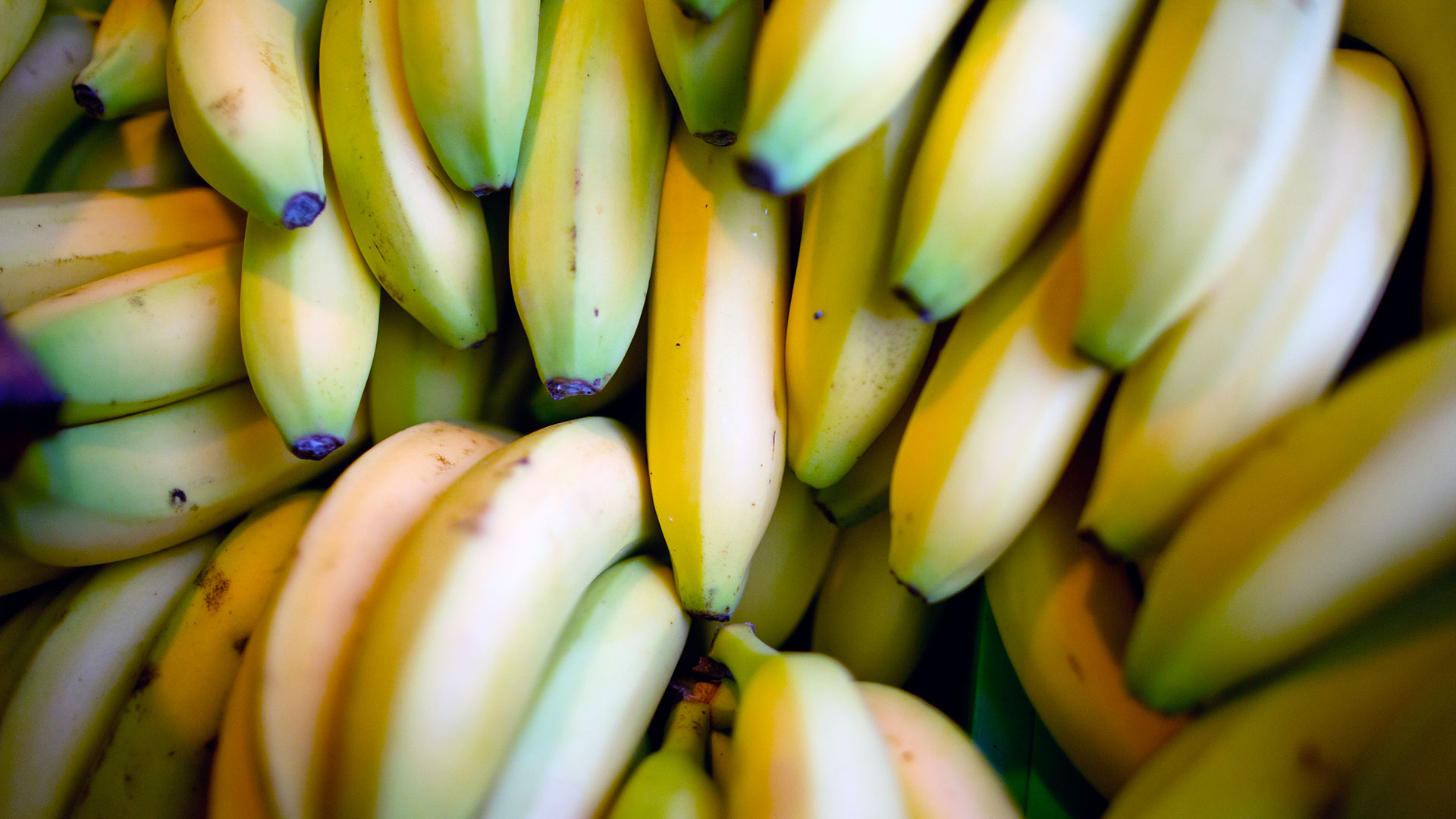 Unter Bananen verstecktes Kokain wurde beschlagnahmt (Foto: dpa)
