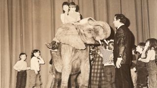 Archivbild: Elefant auf Bühne mit Kindern.(Quelle: rbb/privat)