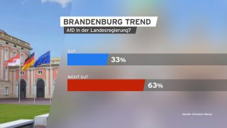 Grafik Brandenburg Trend AFD in der Landesregierung.(Quelle:rbb)