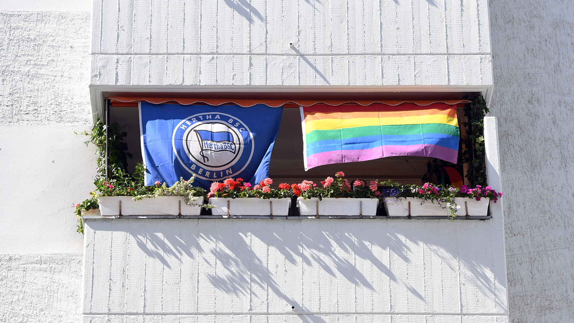 Symbolbild:Die Vereinsflagge des Fußball-Bundesligisten Hertha BSC und eine Fahne in Regenbogen-Farben sind an einem Balkon befestigt.(Quelle:picture alliance/dpa/S.Stache))