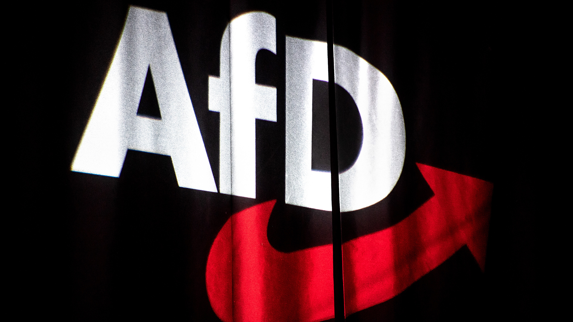 Symbolbild: AfD-Logo.(Quelle: dpa/Sina Schuldt)