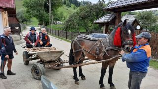 Weltreise: Schurmanns auf einem traditionellen Pferdewagen in den Karpaten