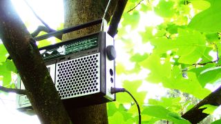 Ein Radio auf dem Ast eines Baumes (Bild: spacejunkie l photocase.com)