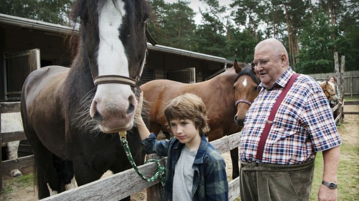 Timo (Cai Cohrs) und Krause (Horst Krause) suchen nach einem Fohlen auf dem Pferdemarkt. (Bild: rbb/ARD Degeto/Arnim Thomaß)