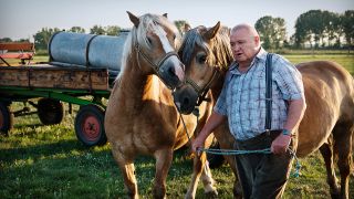 Krause (Horst Krause) holt seine Pferde Meta und Elsa von der Weide. | rbb/ARD Degeto/Arnim Thomaß