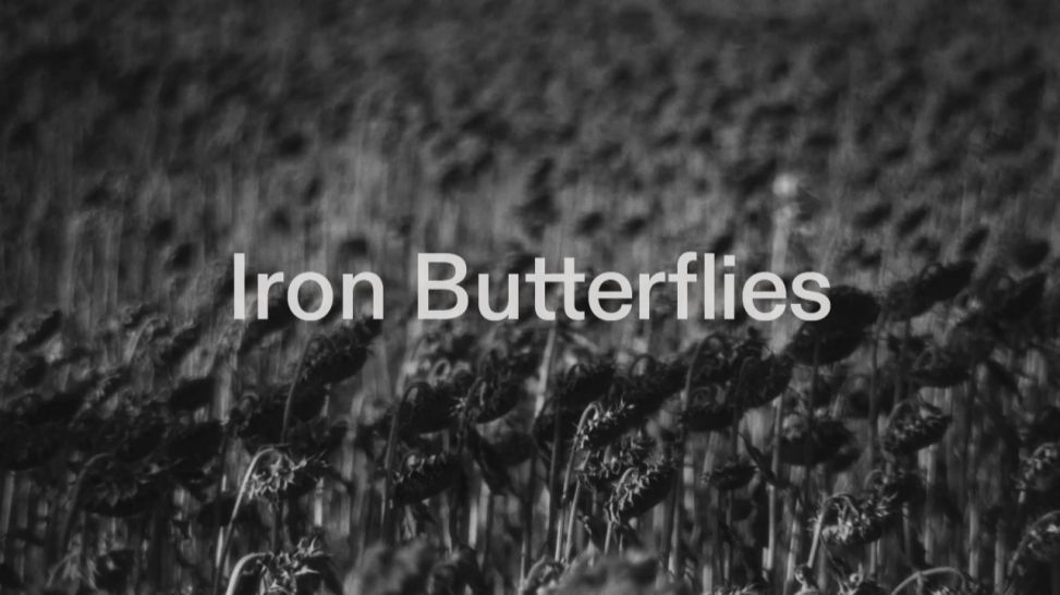 Plakat zum Dokumentarfilm "Iron Butterflies" (Bild: rbb/Andrii Kotliar/Babylon’13)