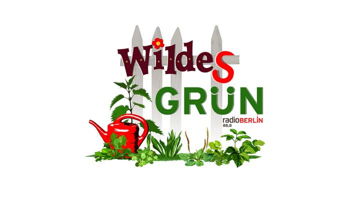 Wildes Grün - radioBerlin 88,8 - Logo