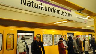 U 6, Station Naturkundemuseum, Quelle: imago
