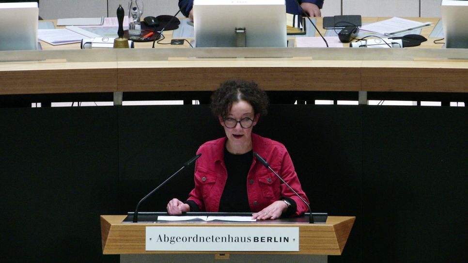 Katrin Seidel (Die Linke)